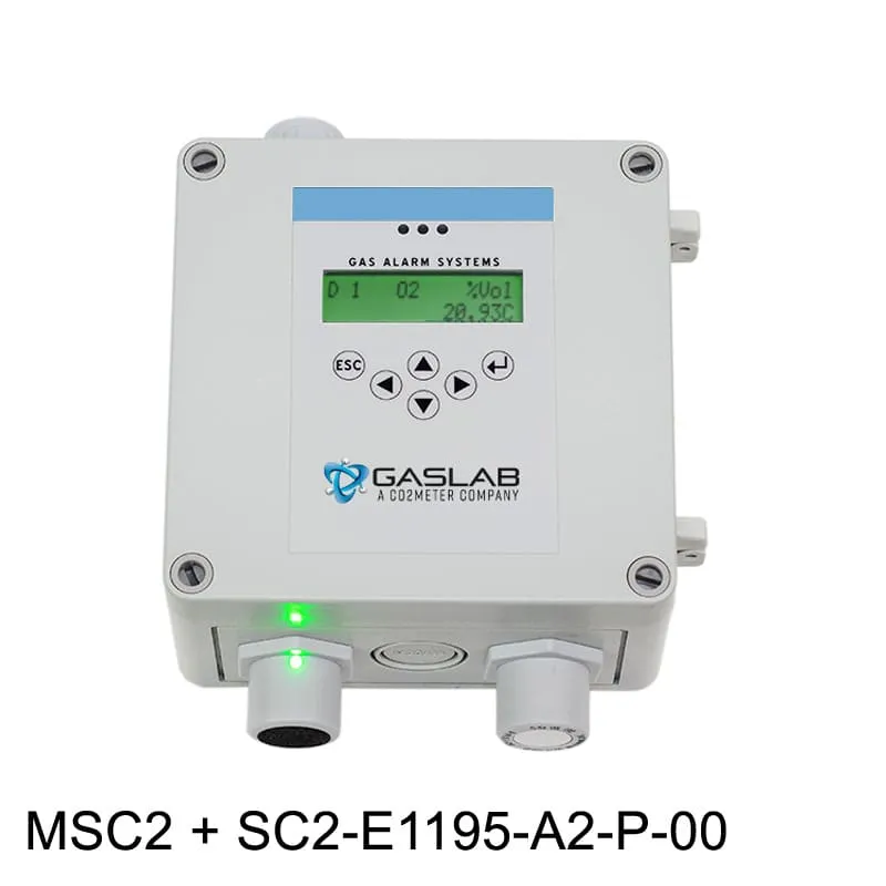 Fixed Oxygen (O2) Gas Detector (0-25%)