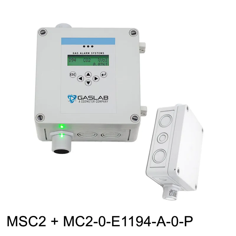 Hydrogen (H2) Fixed Gas Detector w/ Remote Sensor (0-1000ppm)