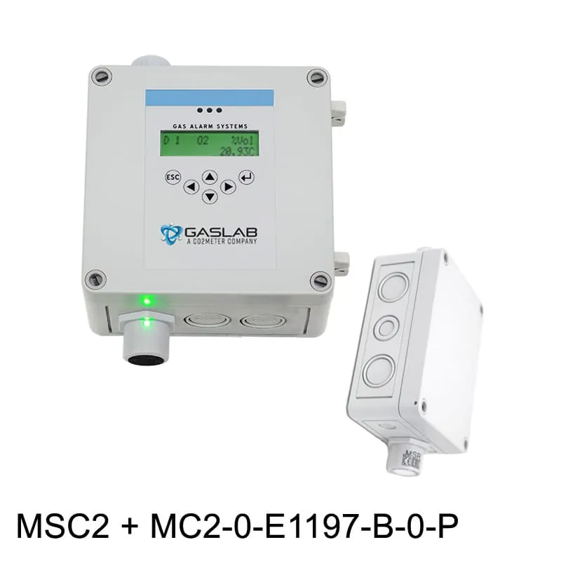 Hydrogen Sulfide (H2S) Fixed Gas Detector w/ Remote Sensor (0-100ppm)