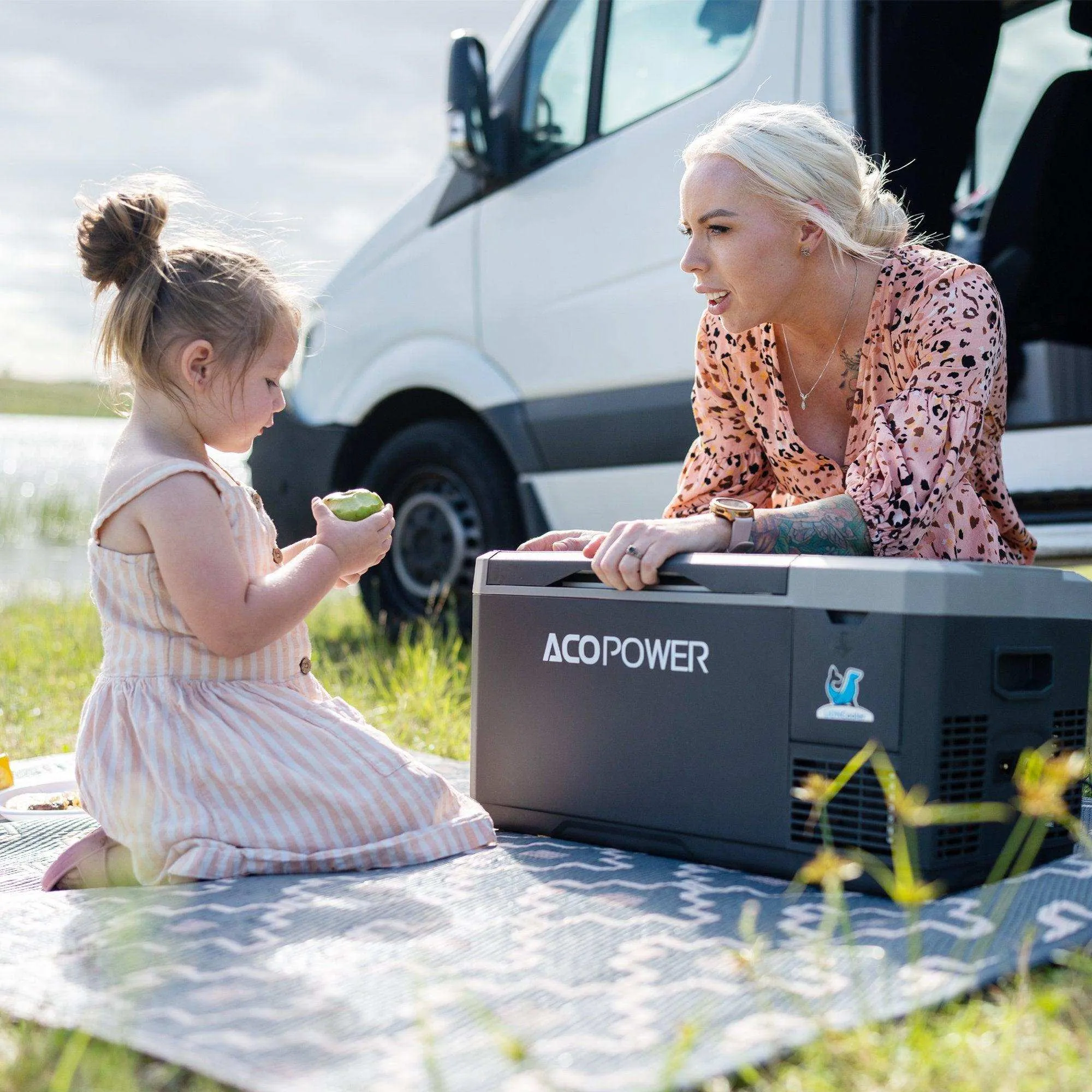 LionCooler Mini Powered Car Fridge Freezer, 29 Quarts