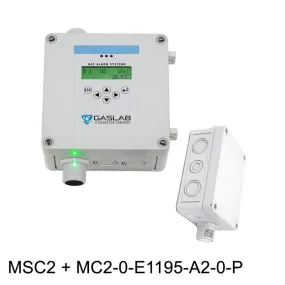 Oxygen (O2) Fixed Gas Detector w/ Remote Sensor (0-25%)