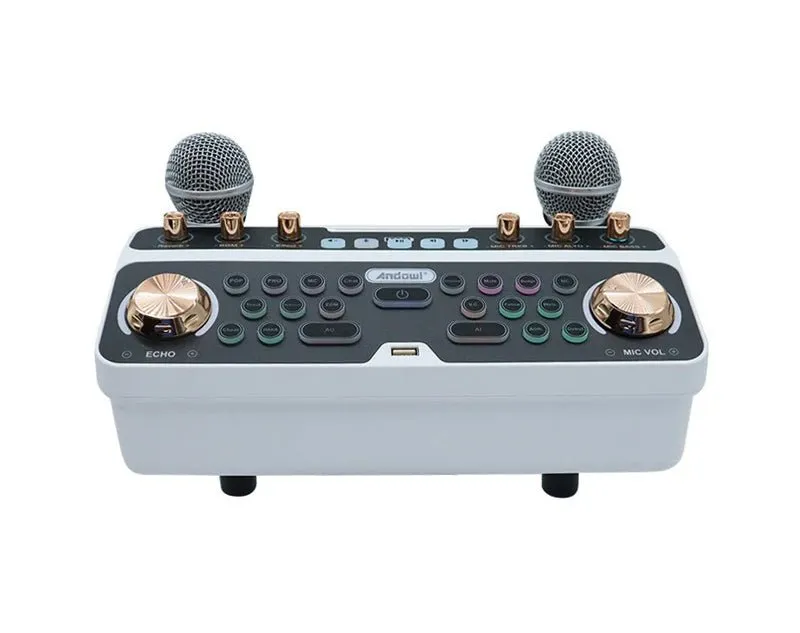 Portable Bluetooth Mixer with Wireless Microphones Q-SK6