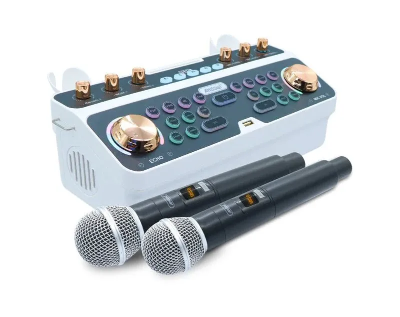 Portable Bluetooth Mixer with Wireless Microphones Q-SK6